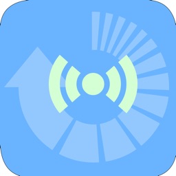 Radiation exposure converter