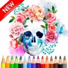 Sugar Skull Coloring Drawing For Coco Day of Dead - iPadアプリ