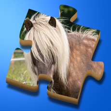 Activities of Super Jigsaws Horses