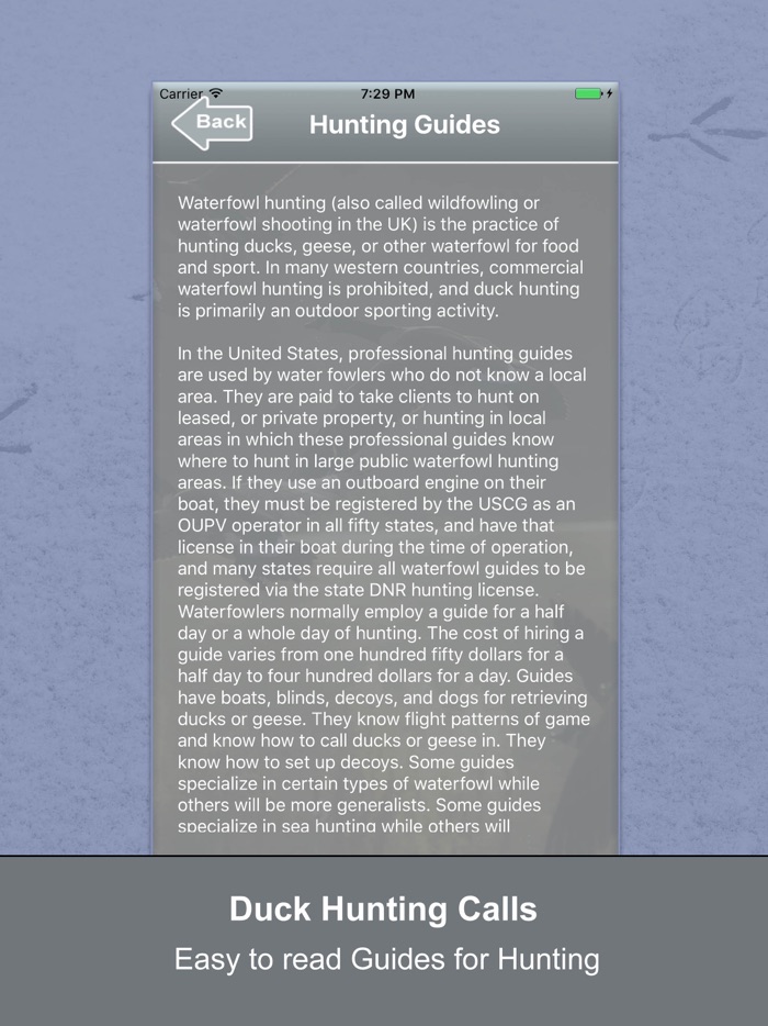 Duck Hunting Calls New