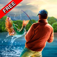 Activities of Catch Fish: Big Fishing Simulator