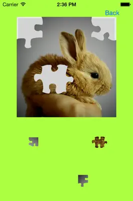 Game screenshot Baby Rabbits Jigsaw Puzzles mod apk