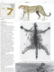 mammals of the southern african subregion ipad images 1
