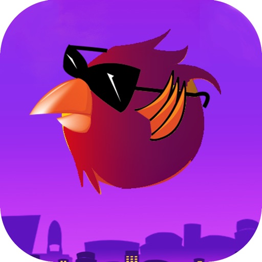 ChallengeBird iOS App