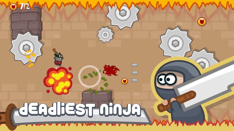Ninja Shurican screenshot 1