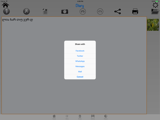 Georgian Dictionary iPad screenshot