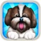 Puppy Care is a Dogs Raising, Breeding Mania, Dog care center Builder free 2 play fun game for kids, boys and girls