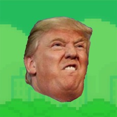 Activities of Flappy Donald Trump!