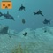 VR Fish Hunter 3D