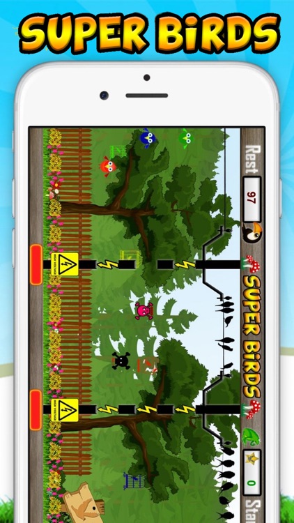 Super Birds Adventures Game