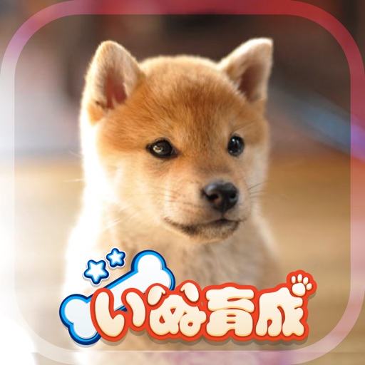 Shibainu Dog Simulator 3D Icon