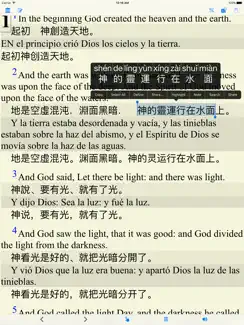 World bible (Christian) iPad image 2