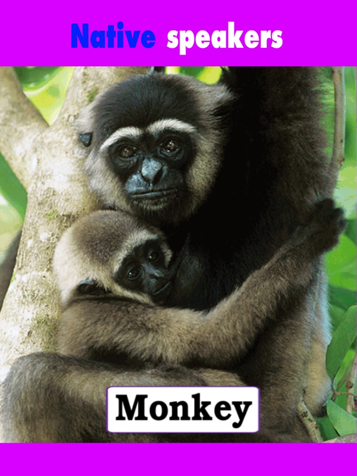 Toddlers learning english with cards games