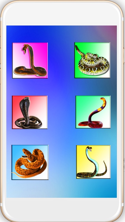 Snake On Screen Cobra Simulator