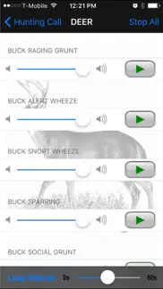 hunting call problems & solutions and troubleshooting guide - 2