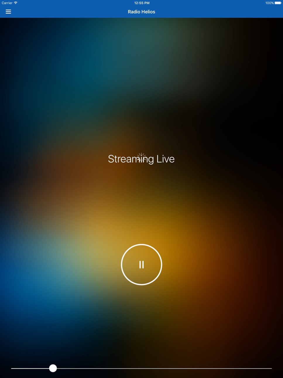 iPad screenshot