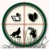 Hunting Call App Feedback