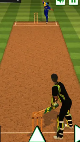 Game screenshot Smash Cricket Challenge apk