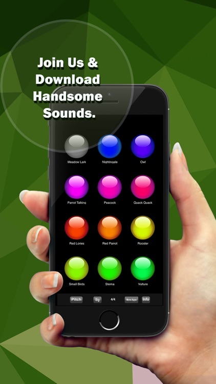 Ultimate Birds Soundboard app