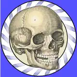 Speed Bones MD - App Icon