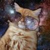 Cats in Space Wallpapers HD- Quotes and Art