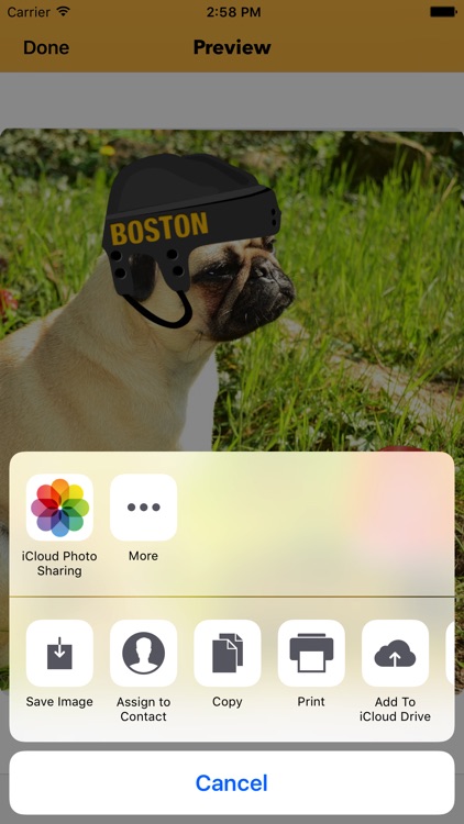 Boston Hockey Stickers & Emojis screenshot-4