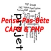 PMPReminder : Aide-mémoire PMP© CAPM© for iPad