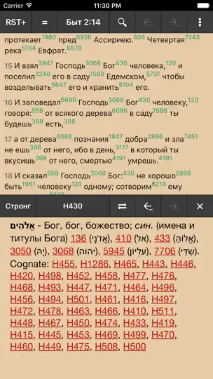 Скриншот MyBible на iPhone 1