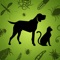 Protect your pet against fleas, ticks and worms all year round with our easy to use parasite protection reminder service