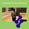 Schedule for gym workout