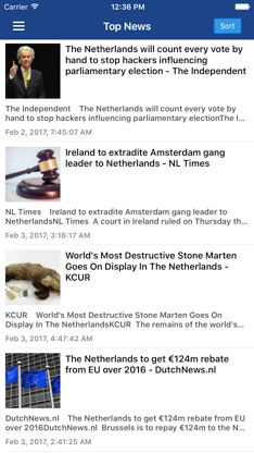 Dutch News in English screenshot 1