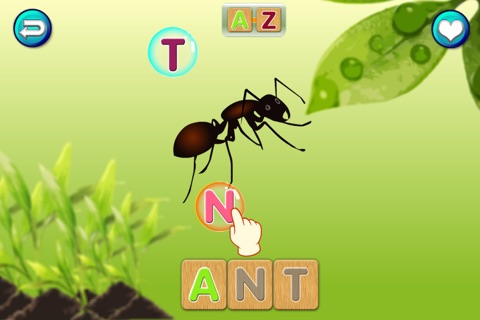 First & Sight Words screenshot 3