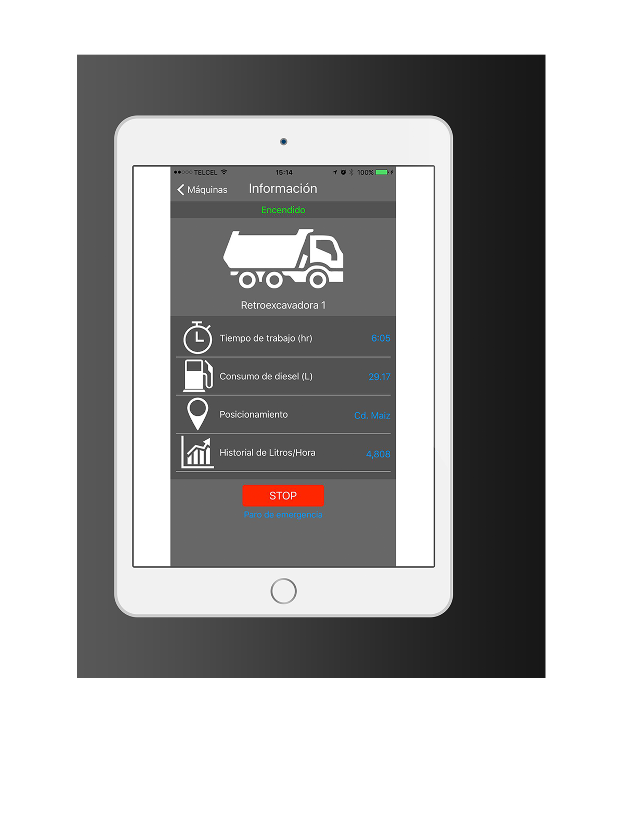 Fuel manager system