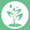 The WaterTimer application allows you to set up irrigation programs, namely spray watering programs or mist watering programs