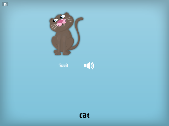 Hindi Flashcards for Kids