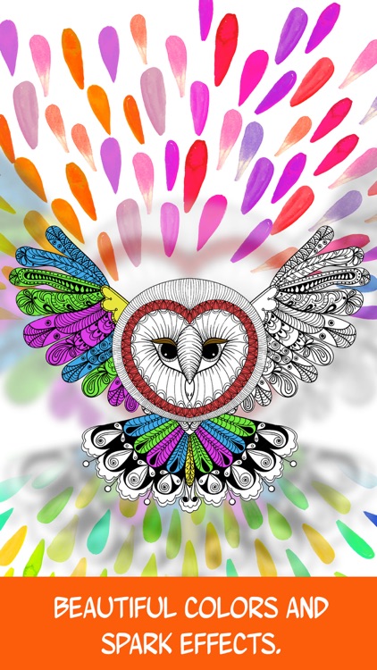 Owl: Discover Magic Coloring Pages for Adults