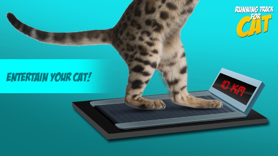 #2. Running Track for Cat (iOS) 由: Alina Sapolgina