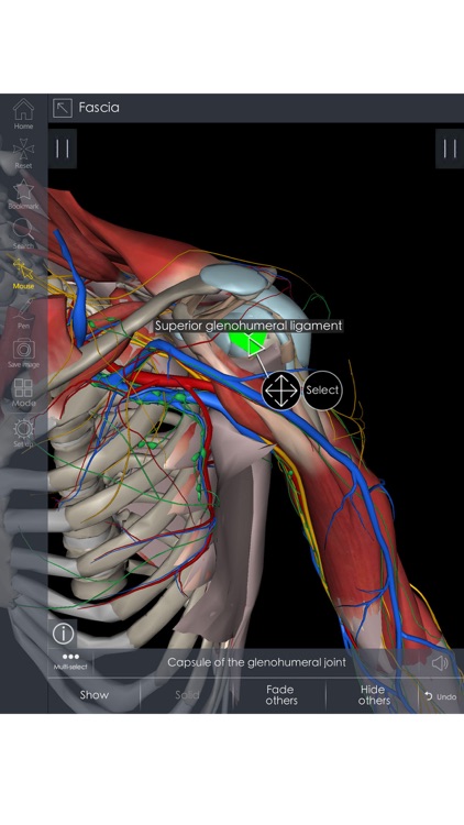 Medsee - 3D Detailed Anatomy screenshot-3