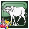 Buffalo Coloring Book For Kids