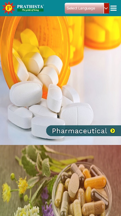 Prathista Industries Ltd