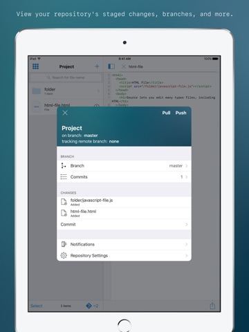 Source - git client and code editor screenshot 4