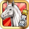 競馬メダルゲーム『ダービーウィナー』Derby Winner