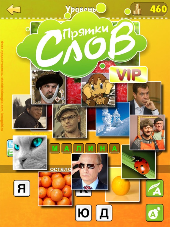 Прятки Слов VIP на iPad