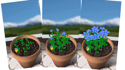 Screenshot #1 pour Flower Garden Free: jardin de fleurs virtuel