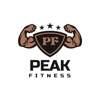 PeakFit Online