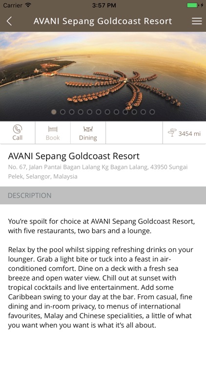 Golden Palm Tree Premium Club