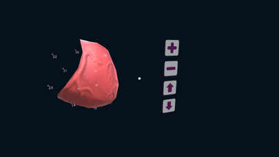 Screenshot #1 pour Virtual Reality with 3DBear