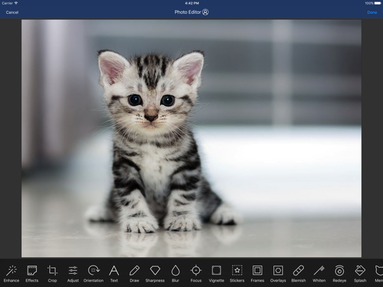 Screenshot #6 pour Safe Vault - Private Photo & Video Manager