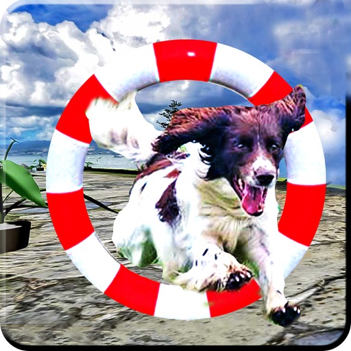 Dog Runner : 3d Sub-way Race icon