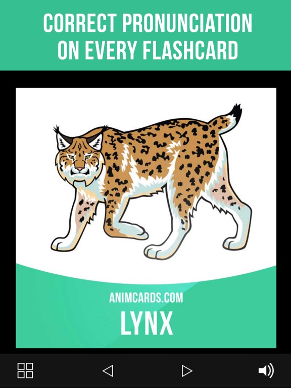 Screenshot #6 pour Animals Cards in English